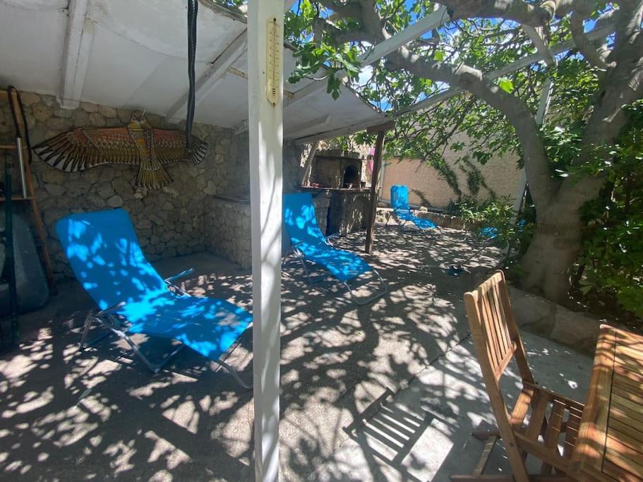 A L'Ombre Du Figuier ! Maisonnette Jardin / Parking / Proche Mer Frontignan Dış mekan fotoğraf